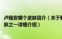 卢锡安哪个皮肤简介（关于职业杀手 《英雄联盟》卢锡安皮肤之一详细介绍）