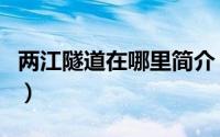 两江隧道在哪里简介（关于两洋隧道详细介绍）