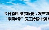今日消息 歌尔股份：发布2022年股票期权激励计划草案 及“家园6号”员工持股计划 草案