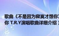 歌曲《不是因为寂寞才想你》简介（关于不是因为寂寞才想你 T.R.Y演唱歌曲详细介绍）
