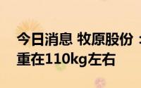 今日消息 牧原股份：公司当前出栏商品猪均重在110kg左右