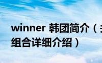 winner 韩团简介（关于WINNER 韩国男子组合详细介绍）