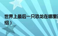世界上最后一只恐龙在哪里简介（关于最后一只恐龙详细介绍）