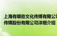 上海有哪些文化传媒有限公司简介（关于互联空间 上海文化传媒股份有限公司详细介绍）