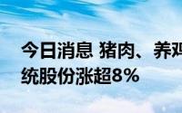 今日消息 猪肉、养鸡概念板块继续活跃，华统股份涨超8%