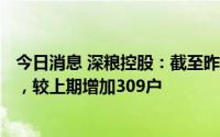 今日消息 深粮控股：截至昨日公司A股股东户数为5.11万户，较上期增加309户