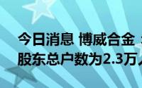 今日消息 博威合金：截止7月10日，公司的股东总户数为2.3万人