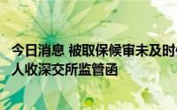 今日消息 被取保候审未及时信披，新纶新材控股股东、实控人收深交所监管函