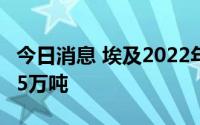 今日消息 埃及2022年上半年出口农产品超375万吨