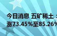 今日消息 五矿稀土：预计上半年净利润同比涨73.45%至85.26%