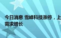 今日消息 雪峰科技涨停，上半年净利预增311%，民爆产品需求增长