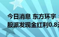 今日消息 东方环宇：拟于7月20日除权，每股派发现金红利0.8元