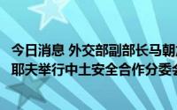 今日消息 外交部副部长马朝旭同土库曼斯坦第一副外长哈吉耶夫举行中土安全合作分委会会议