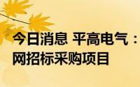 今日消息 平高电气：合计8.8亿元中标国家电网招标采购项目