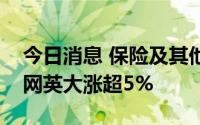 今日消息 保险及其他板块午后震荡拉升，国网英大涨超5%