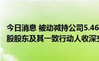 今日消息 被动减持公司5.46%股份未及时信披，如意集团控股股东及其一致行动人收深交所监管函