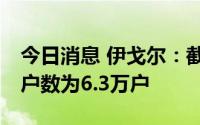 今日消息 伊戈尔：截至7月8日，公司股东总户数为6.3万户