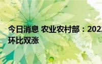 今日消息 农业农村部：2022年第27周生猪及猪肉价格同比环比双涨