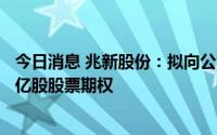 今日消息 兆新股份：拟向公司董监高等112人首次授予1.88亿股股票期权