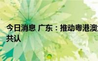 今日消息 广东：推动粤港澳大湾区绿色金融标准和服务互认共认