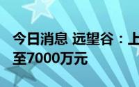 今日消息 远望谷：上半年预计亏损5000万元至7000万元