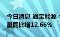 今日消息 通宝能源：上半年子公司完成发电量同比增12.66%