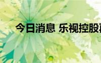 今日消息 乐视控股再被执行超165万元