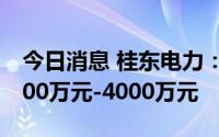 今日消息 桂东电力：预计上半年亏损减至1000万元-4000万元