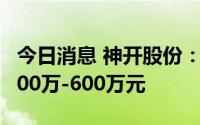 今日消息 神开股份：上半年同比转亏，预亏300万-600万元