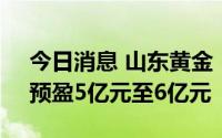 今日消息 山东黄金：上半年同比扭亏为盈，预盈5亿元至6亿元