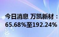 今日消息 万凯新材：上半年净利润同比预增165.68%至192.24%