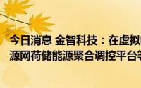 今日消息 金智科技：在虚拟电厂领域涉及的产品及业务包括源网荷储能源聚合调控平台等，目前正在积极推广相关应用