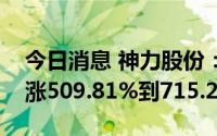 今日消息 神力股份：预计上半年净利润同比涨509.81%到715.23%