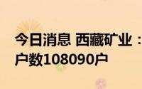 今日消息 西藏矿业：截止7月8日，公司股东户数108090户