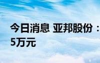 今日消息 亚邦股份：上半年预计亏损9588.95万元