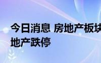 今日消息 房地产板块早盘领跌，2天1板信达地产跌停