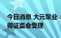 今日消息 大元泵业：公开发行可转债申请获得证监会受理