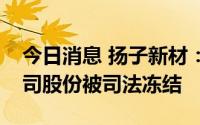 今日消息 扬子新材：控股股东所持5.38%公司股份被司法冻结