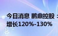 今日消息 鹏鼎控股：预计上半年净利润同比增长120%-130%