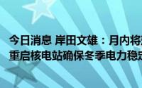 今日消息 岸田文雄：月内将落实物价上涨支援对策，已指示重启核电站确保冬季电力稳定供应