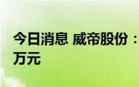 今日消息 威帝股份：上半年预亏38万元到55万元