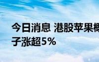 今日消息 港股苹果概念股部分走高，高伟电子涨超5%