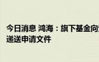 今日消息 鸿海：旗下基金向紫光集团投资53.8亿元，将依规递送申请文件