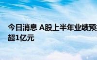 今日消息 A股上半年业绩预报盘点，196家公司预计净利润超1亿元