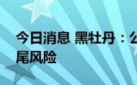 今日消息 黑牡丹：公司房地产项目不存在烂尾风险