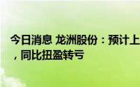 今日消息 龙洲股份：预计上半年净亏2000万元至3000万元，同比扭盈转亏