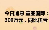 今日消息 宣亚国际：上半年预盈2200万元-3300万元，同比扭亏