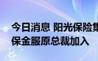 今日消息 阳光保险集团获蚂蚁原副总裁、人保金服原总裁加入