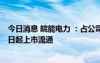 今日消息 皖能电力 ：占公司总股本21.02%的限售股7月19日起上市流通