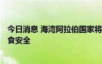 今日消息 海湾阿拉伯国家将筹集至少100亿美元用于保障粮食安全